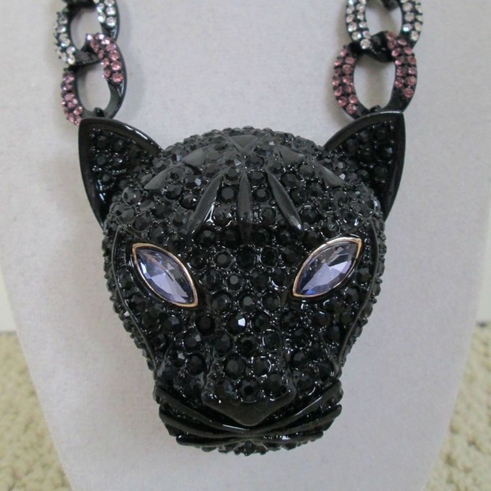 Black panther Betsey Johnson in search